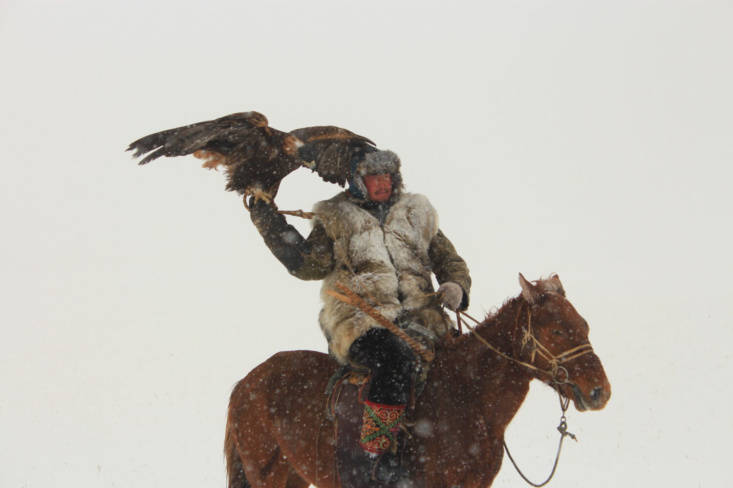 Eagle hunter on a horseback