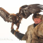 An eagle hunter in western mongolia ulgii province