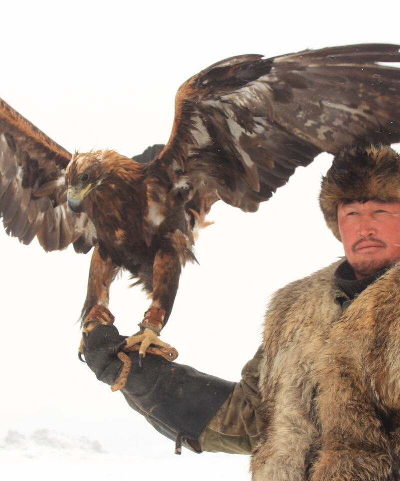 An eagle hunter in western mongolia ulgii province