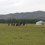 mongolian ger nomad family horses