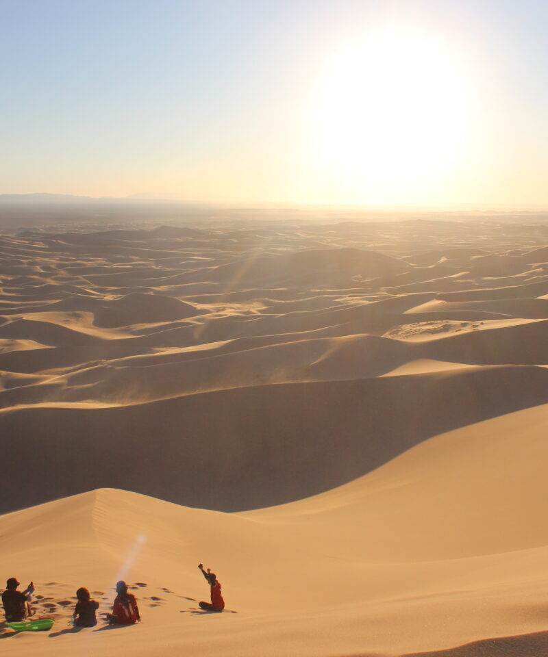 khongor sand dunes gobi desert mongolia