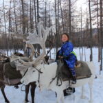 Tsaatan people reindeer herder girl riding a reindeer