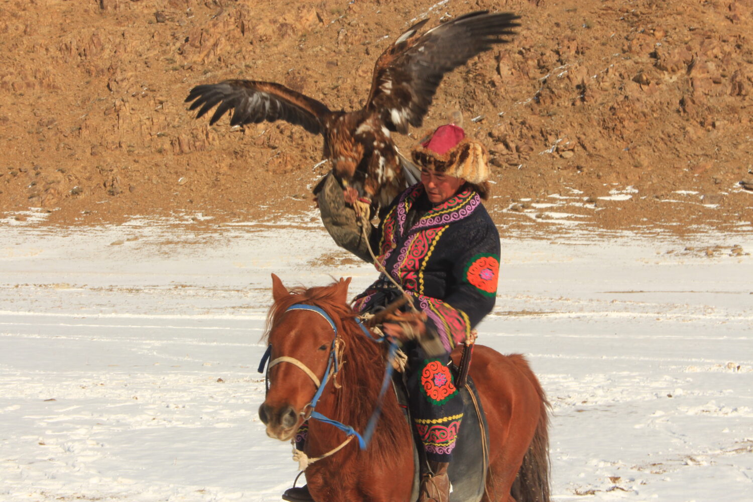 Mongolian eagle hunter in Western Mongolia Altai mountains