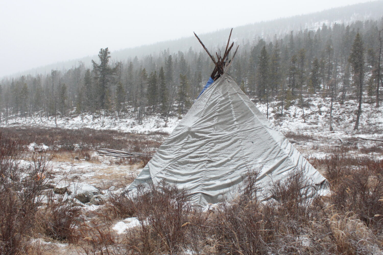 A teepee of Tsaatan tribe at Western Taiga Forest, Khuvsgul, Mongolia