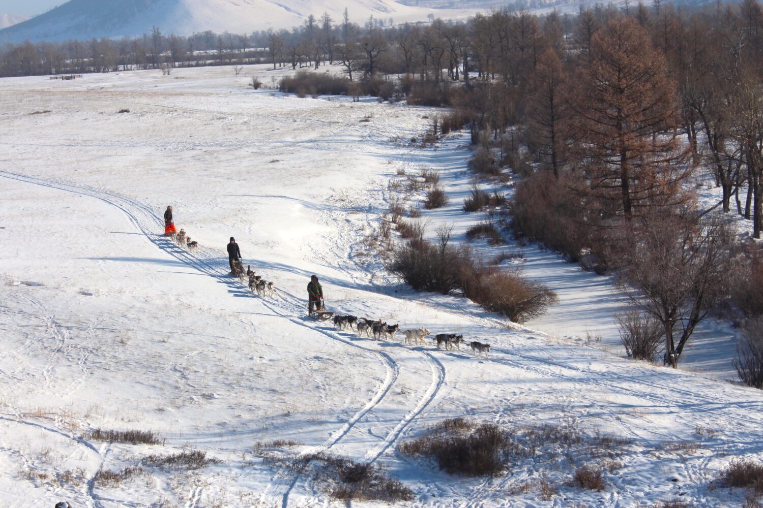 dogsledding journey in terelj national park