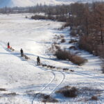 dogsledding journey in terelj national park