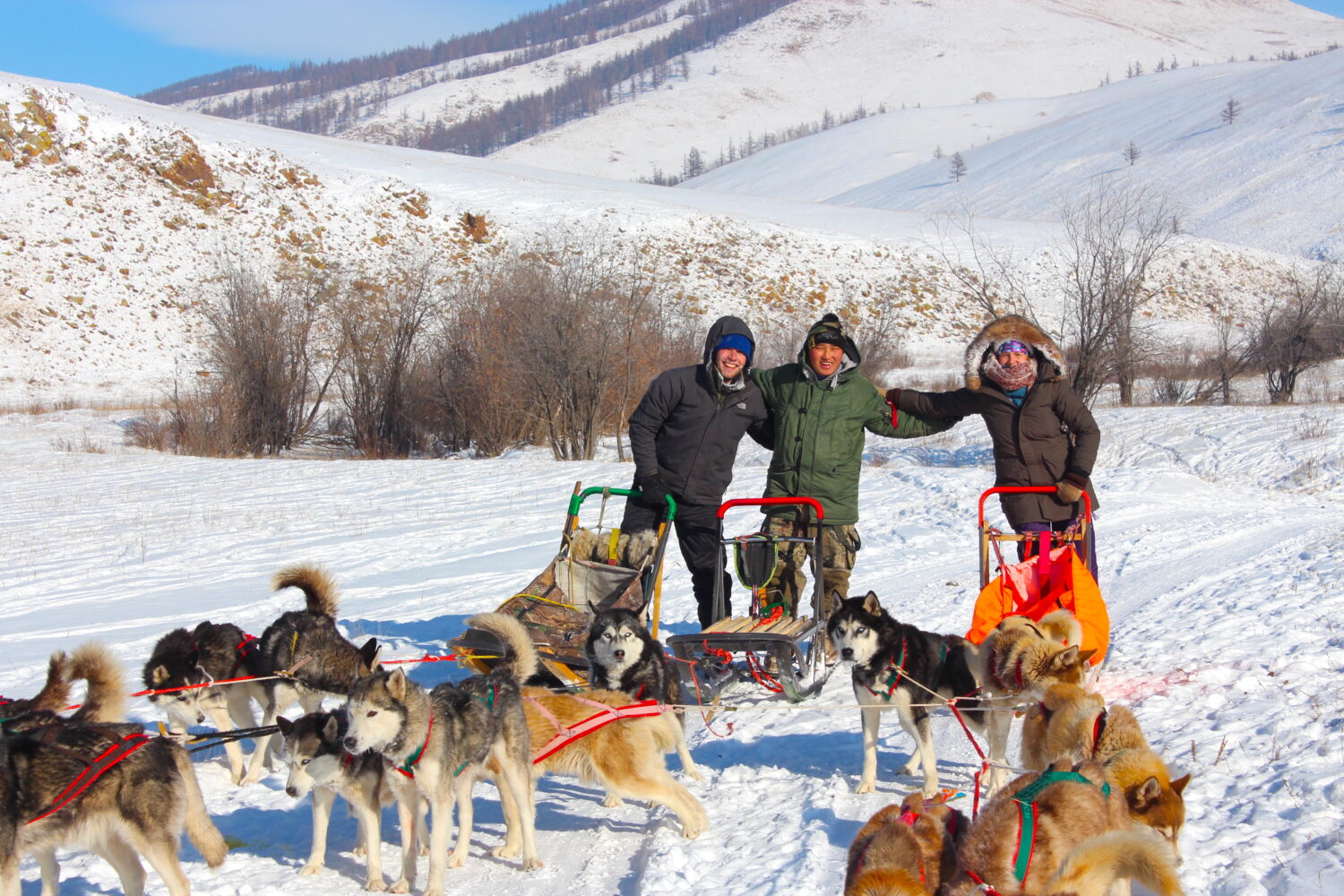 dogsledding journey in terelj national park in winter with our guest