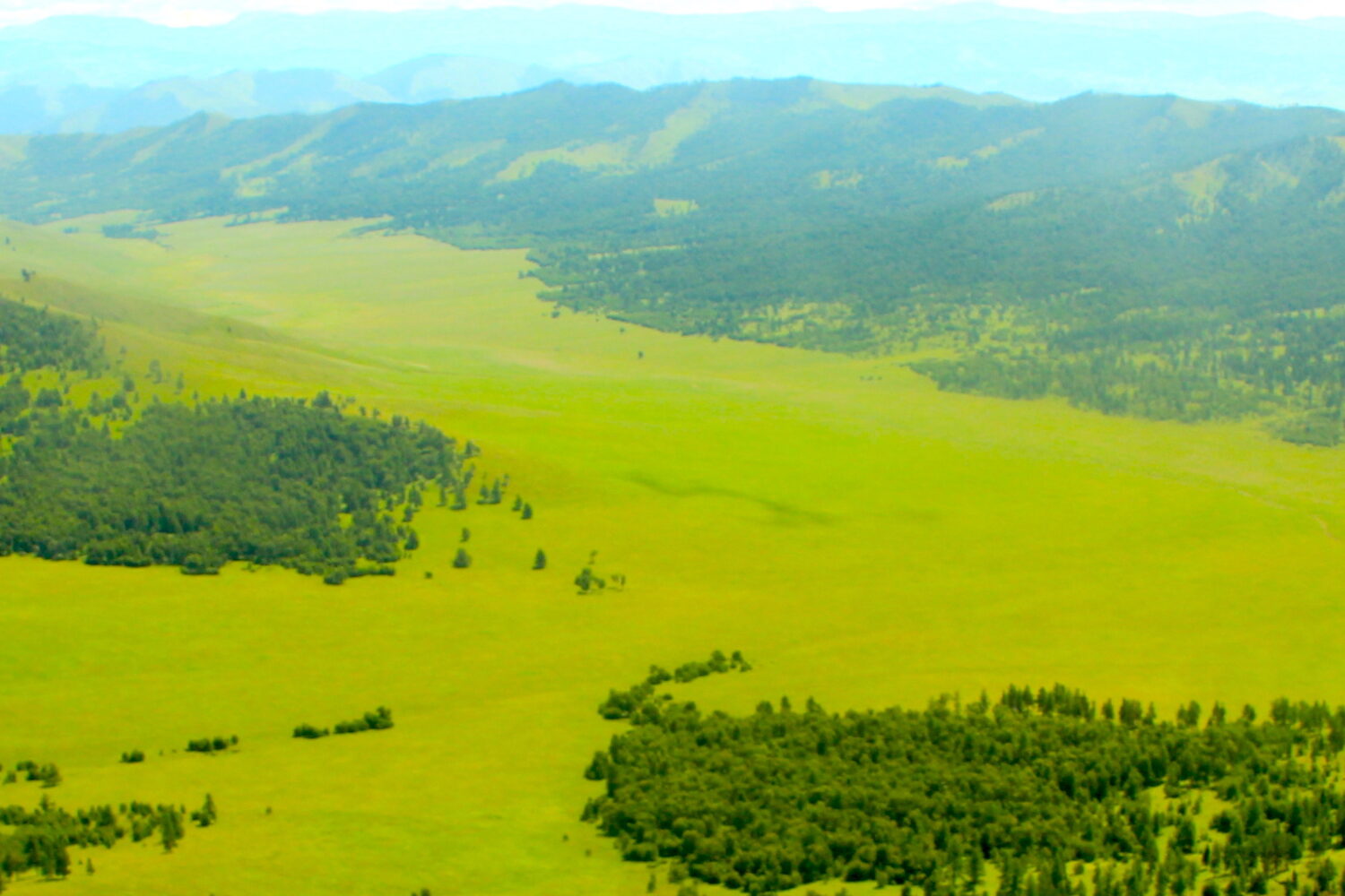 Mongolian endless green steppes in Selenge province