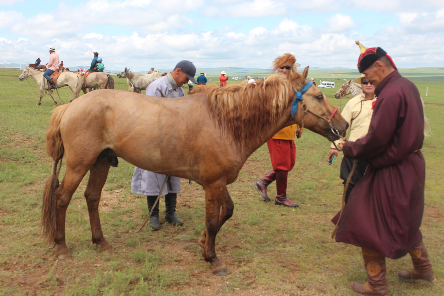 naadam festival horse race