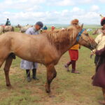 naadam festival horse race