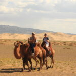 camel riding in the gobi desert southern mongolia trip