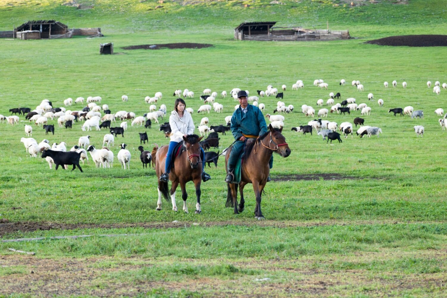 nomad family home stay in uvurkhangai province near orkhon valley
