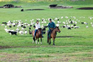 nomad family home stay in uvurkhangai province near orkhon valley