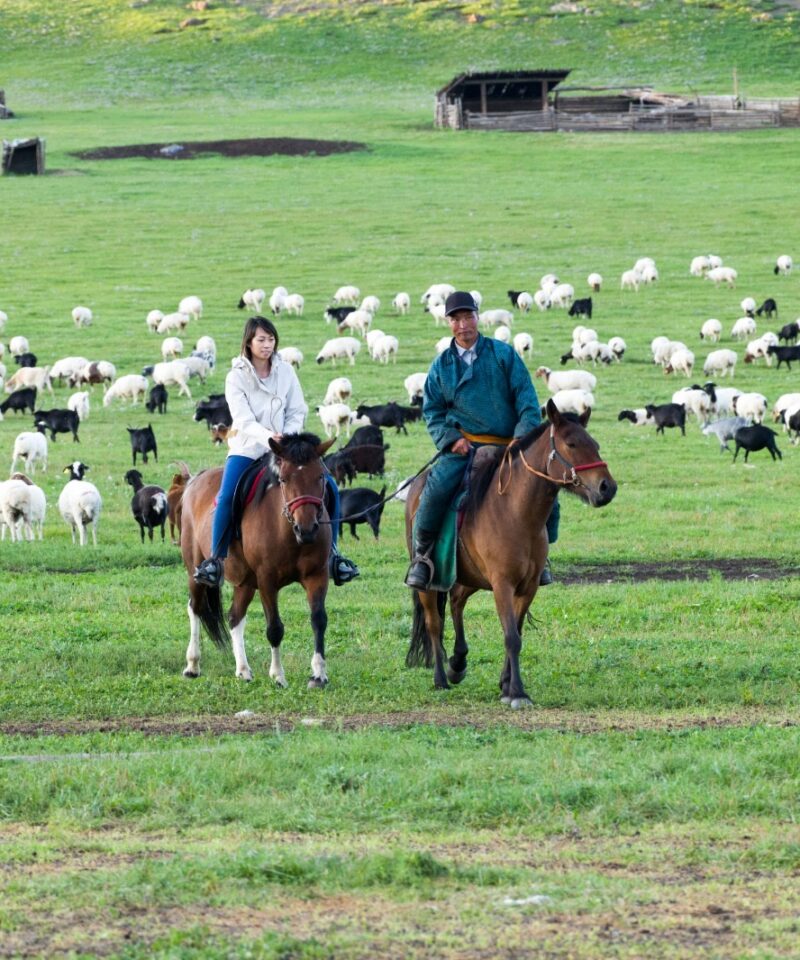 nomad family home stay in uvurkhangai province near orkhon valley