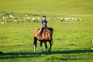 nomad family home stay in uvurkhangai province near orkhon valley nomad kids riding horse