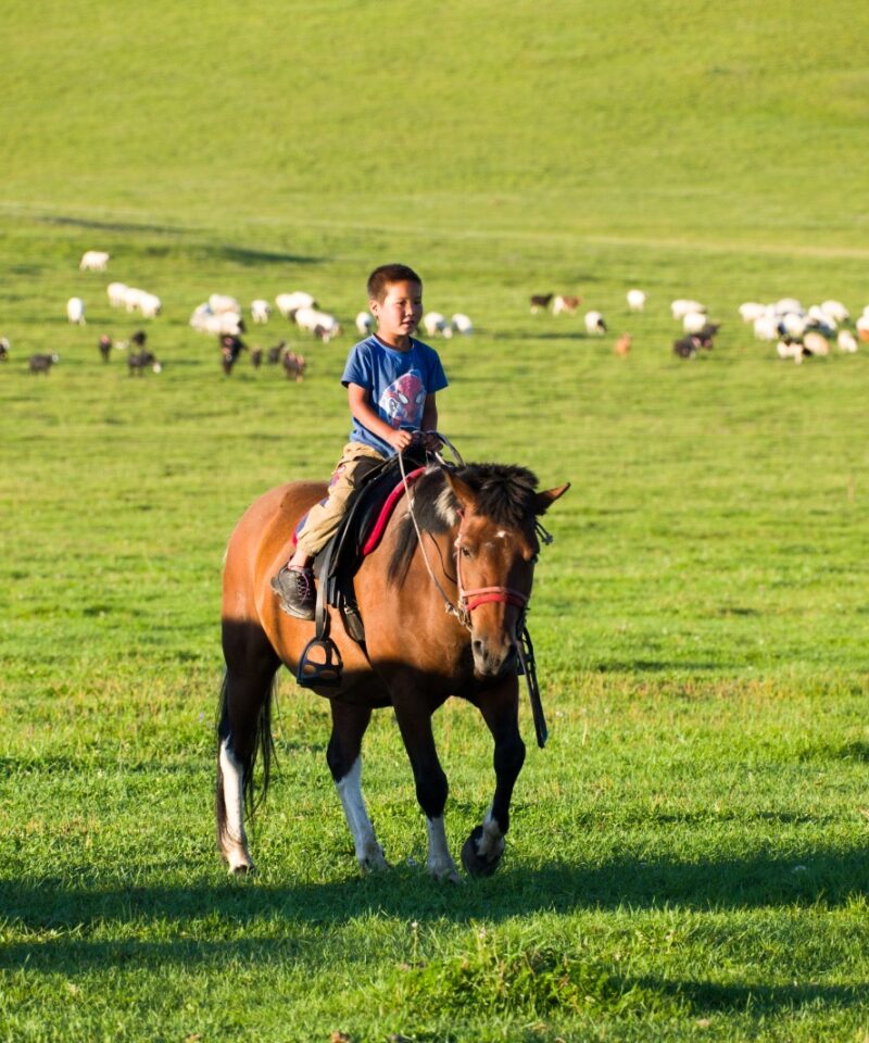 nomad family home stay in uvurkhangai province near orkhon valley nomad kids riding horse