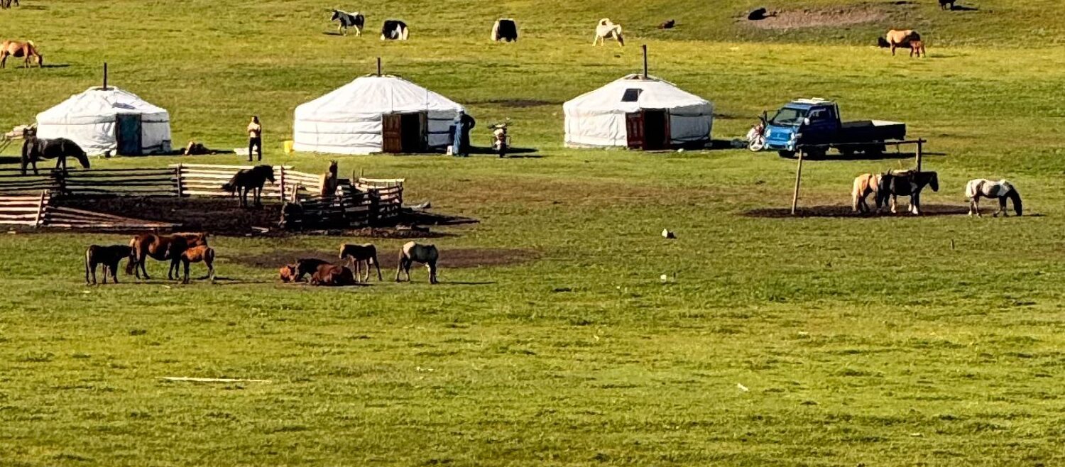 Nomad family